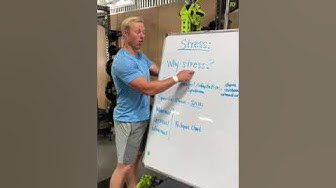 Stress and Workout Programs