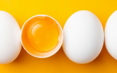 Why Eggs are Nutrient Power-Houses
